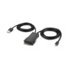 Belkin Modular Mini DP Single Head/Host Cable 6 Feet
