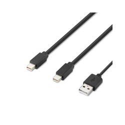 Belkin Modular Mini DP Dual Head/Host Cable 6 Feet