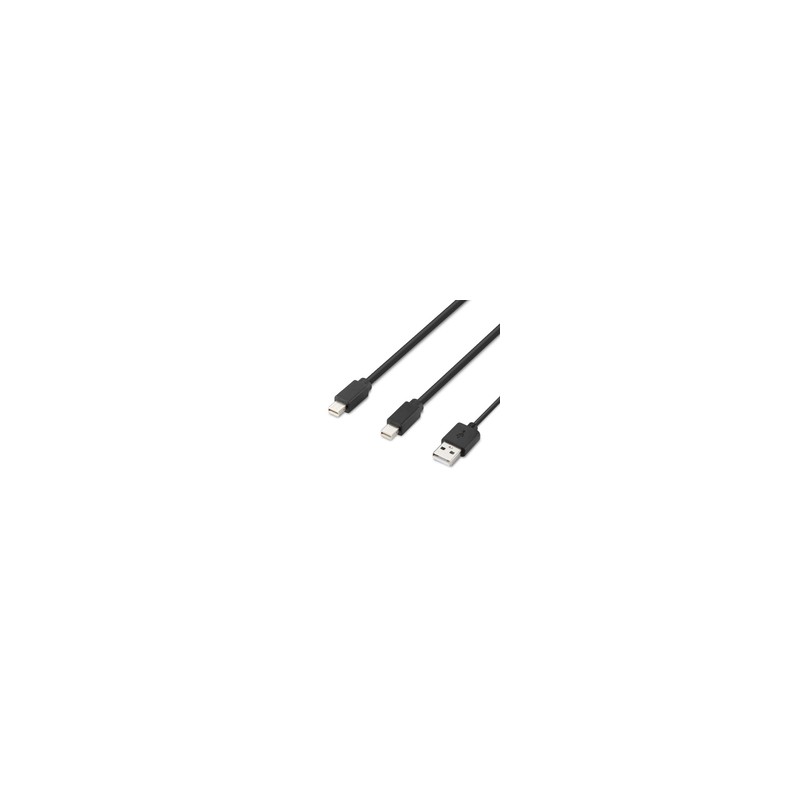 Belkin Modular Mini DP Dual Head/Host Cable 6 Feet