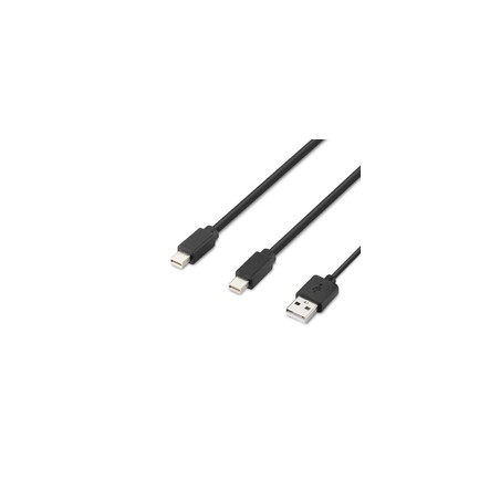 Belkin Modular Mini DP Dual Head/Host Cable 6 Feet