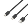 Belkin Modular Mini DP Dual Head/Host Cable 6 Feet