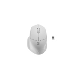 Natec optická myš SISKIN 2/Kancelářská/Optická/Pro praváky/1 600 DPI/USB+BT/Bílá