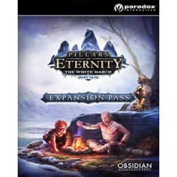 Pillars of Eternity Expansion Pass – herní rozšíření pro PC (elektronická licence)