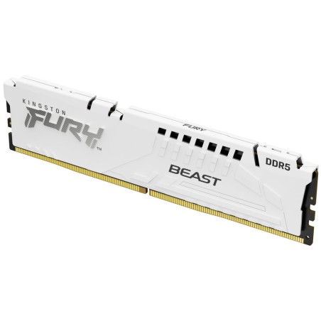 Kingston FURY Beast White/DDR5/16GB/5600MHz/CL40/1x16GB/White