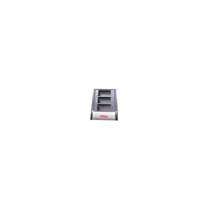 GTS Electronics MC3000 And MC3100 Bay BATT Chrg/.