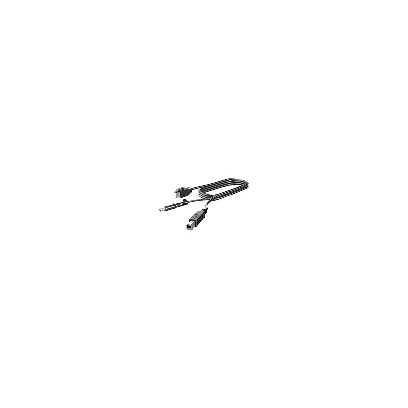 300CM DP+USB PWR CABLE/.
