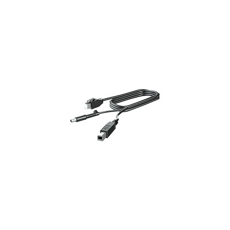 300CM DP+USB PWR CABLE/.