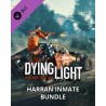 Dying Light Harran Inmate Bundle – herní rozšíření pro PC (elektronická licence)