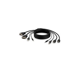 DUAL DVI TO HDMI/USB/AUD/CBL VID MM USB A/B 10IN