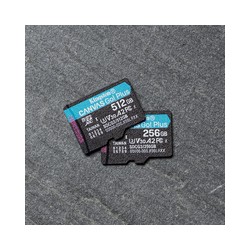 Kingston 256GB mSDXC Canvas GO Plus 170R/A2 U3 V30 Card + Adapter