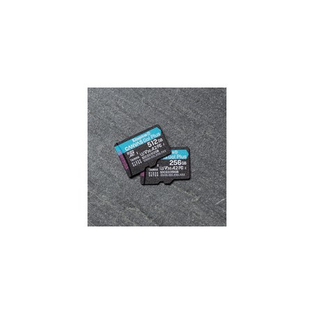 Kingston 256GB mSDXC Canvas GO Plus 170R/A2 U3 V30 Card + Adapter