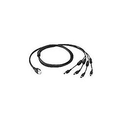Zebra Cable,Power,4 Way