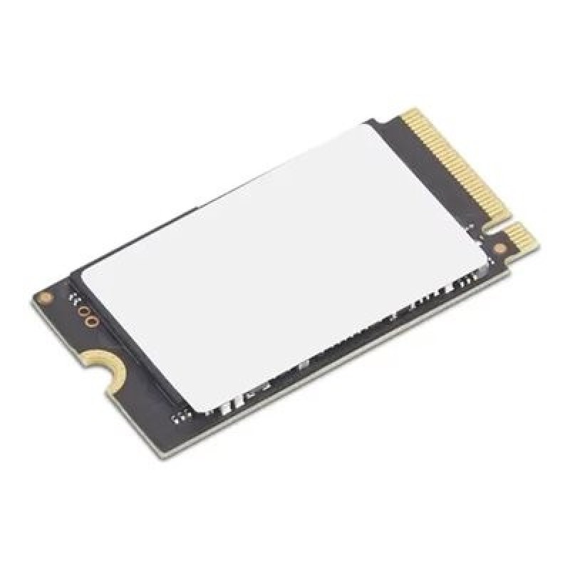 Lenovo ThinkPad/1TB/SSD/M.2 NVMe/1R