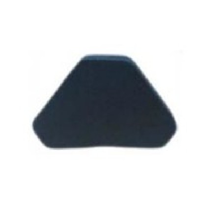 Zebra Pad: Temple, PKG 5
