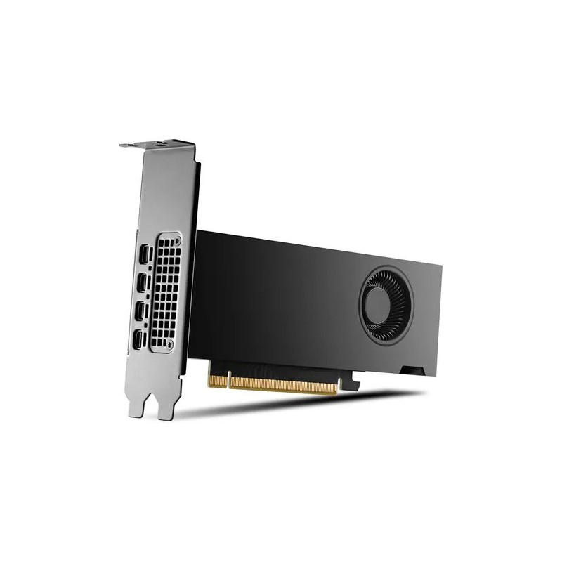 HP NVIDIA RTX 2000 Ada/16GB/GDDR6