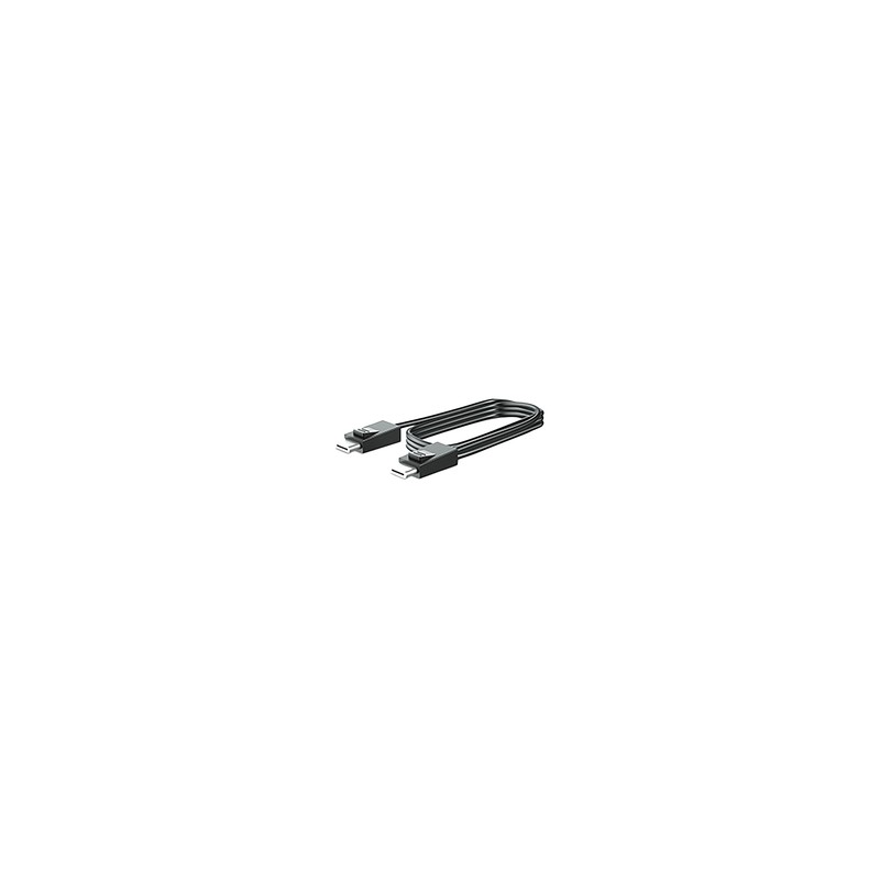 HP 300CM DP+Y Cable L701XT/.