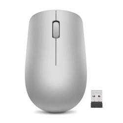 Lenovo 530 Wireless Mouse (Platinum Grey) -myš