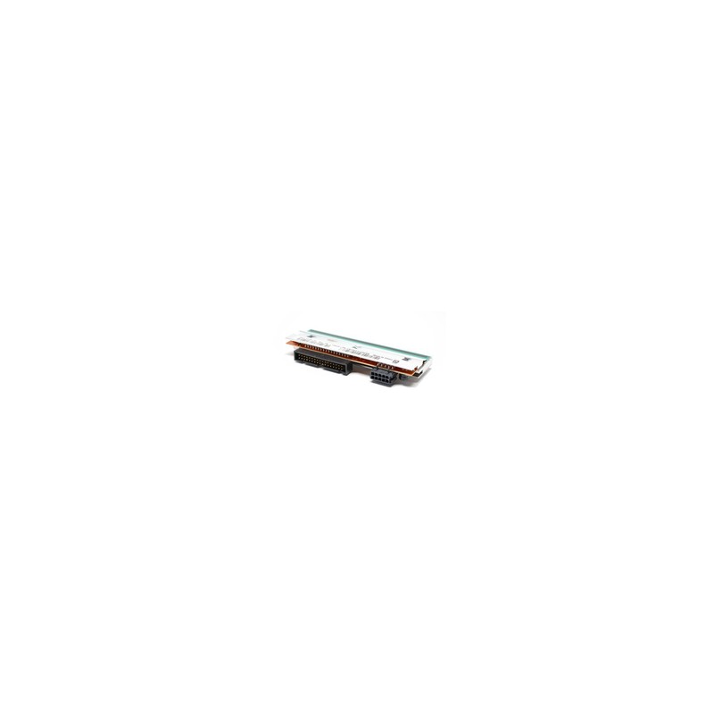 Kit Extended Performance Printhead RH 300 dpi 110PAX4