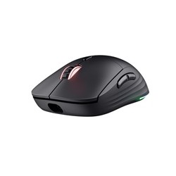 TRUST myš GXT927 Redex+ Gaming Mouse, Bezdrátová, optická, RGB, černá