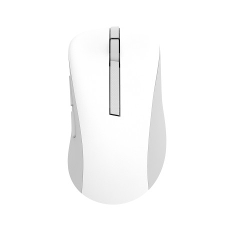 ASUS Wireless Mouse MD102/Kancelářská/Optická/Pro praváky/1 600 DPI/USB+BT/Bílá 90XB0900BMU010