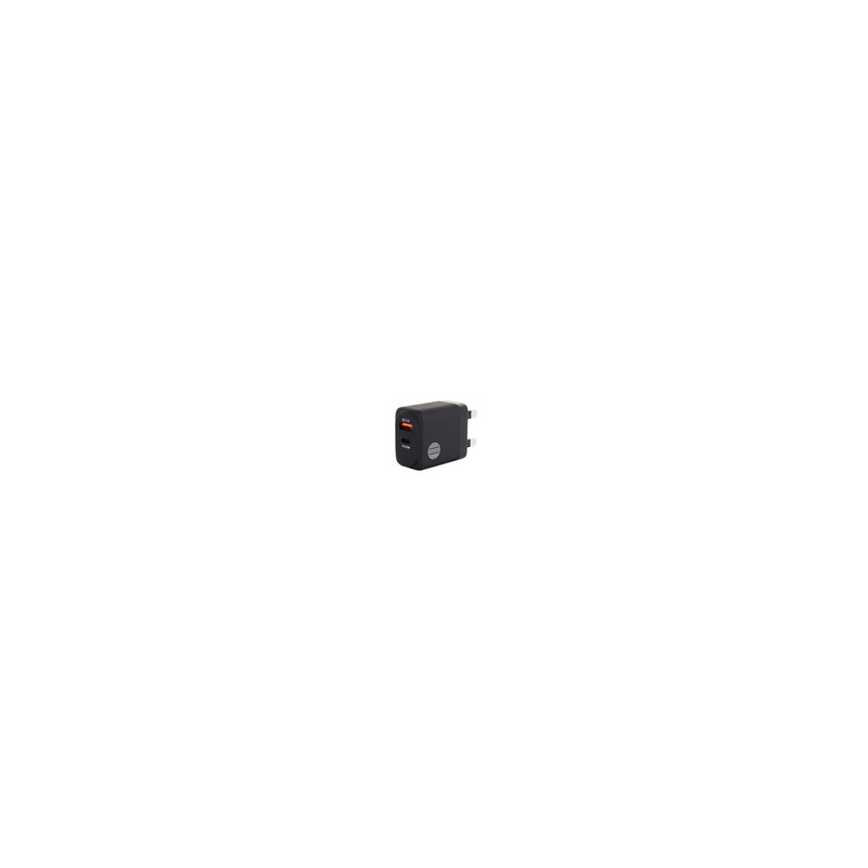 Our pure planet Wall Charger 1 USB + 1 USBC UK/Port 30W