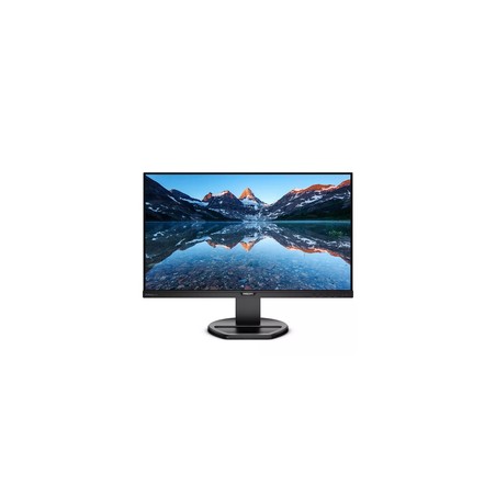 Philips 252B9/00 64CM 25IN IPS/1920X1200 16:10 300CD/QM Black