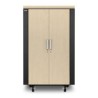 NetShelter CX 24U Secure Soundproof Server Room in a Box Enclosure - Shock Packaging