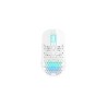 Cherry Xtrfy M42 Wireless RGB Mouse/Wireless White