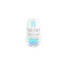 XTRFY M42 WIRELESS RGB MOUSE/WIRELESS WHITE
