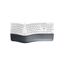 CHERRY KC 4500 ERGO KEYBOARD/CORDED GERMAN USB PALE GREY