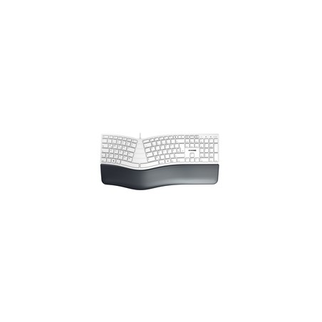 CHERRY KC 4500 ERGO KEYBOARD/CORDED GERMAN USB PALE GREY