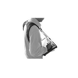Shoulder Harness (4-point)