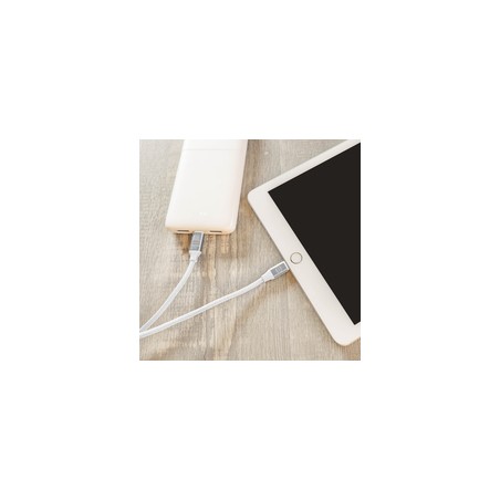 CHARGE AND SYNC TYPE C TO/LIGHTNING CABLE 1.2M/4FT