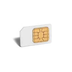 SECURE ELEMENT/MODULE