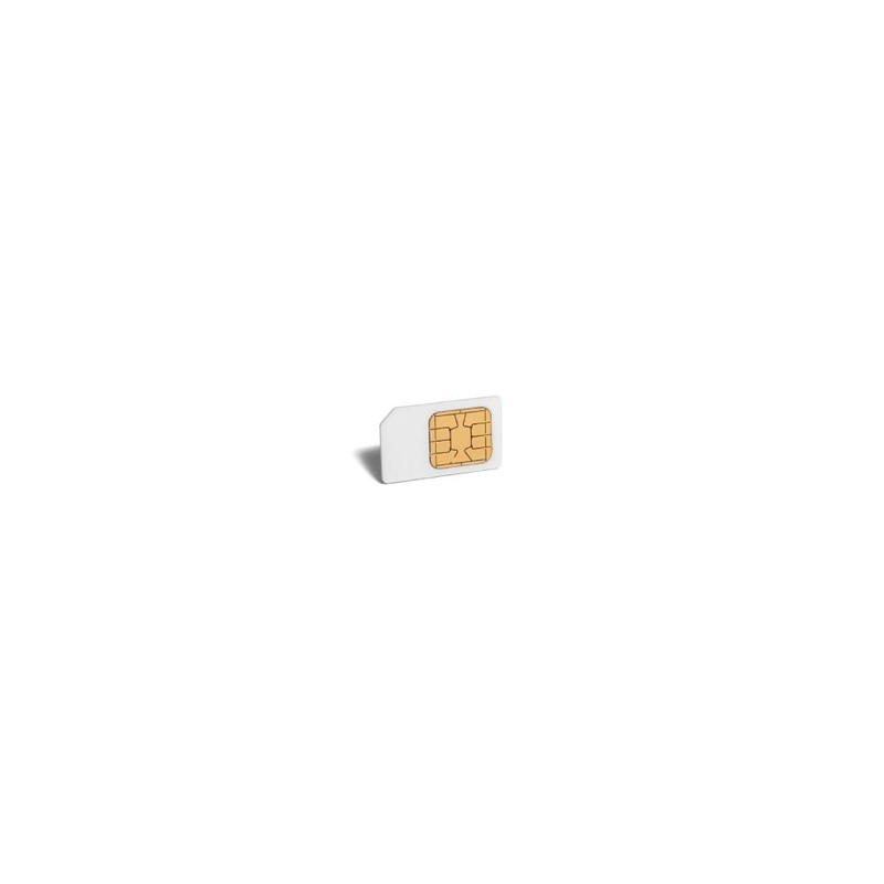 SECURE ELEMENT/MODULE