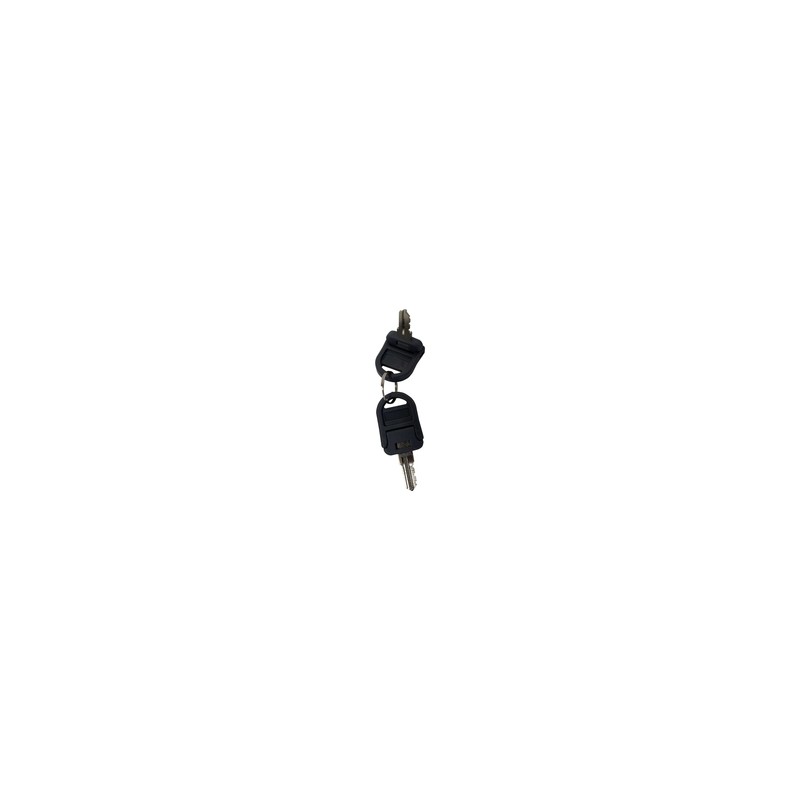 Star Micronics Key-CD4-100 / SPARE Key For CD4/And Locking TILL 1 Key Code 100