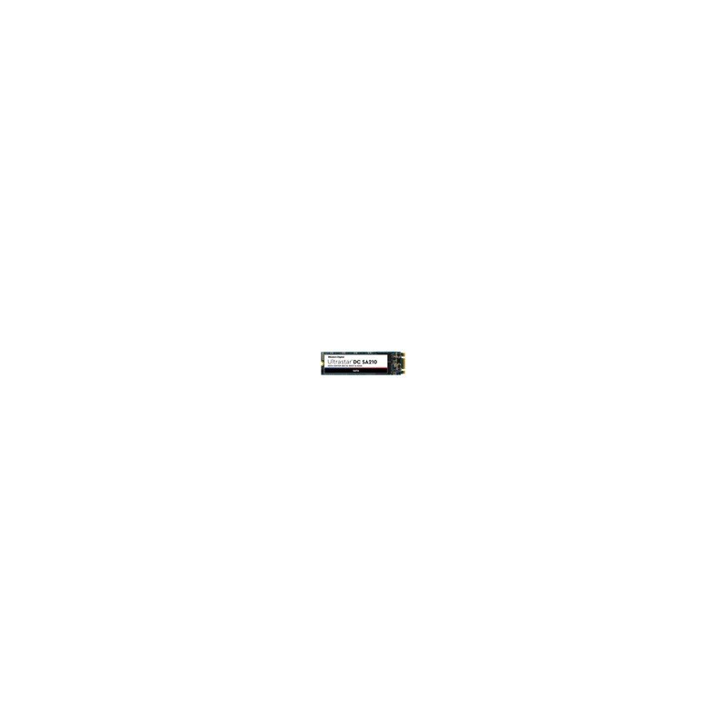 Western Digital Ultrastar SA210 M2 240GB SATA/HBS3A1924A4M4B1