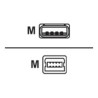 Cisco Console Cable 6FT With USB/Type A And Mini-B