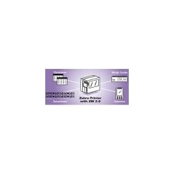 KIT ZBI 2.0 Enablement Software for 1 Printer