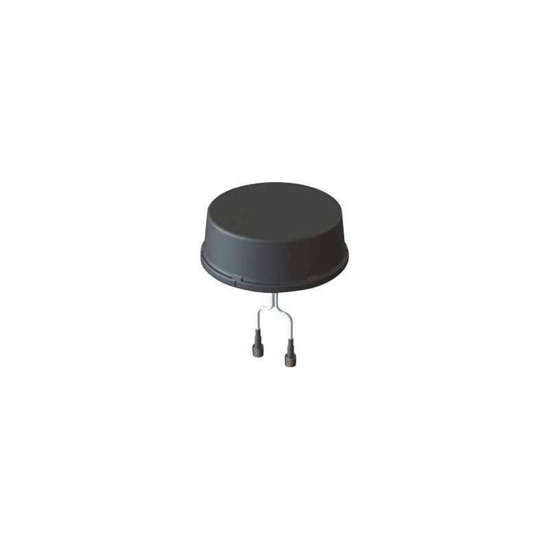 Cisco 2 IN 1 Outdoor Antenna-/4G/LTE-2
