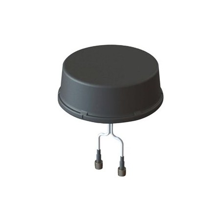 Cisco 2 IN 1 Outdoor Antenna-/4G/LTE-2