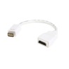 Startech Mini DVI TO HDMI Adapter/.