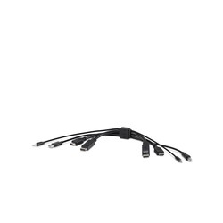 Linksys TAA Dual Head HDMI/DP TO DP And/HDMI Combo Cable 0.3M