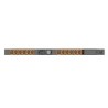 Vertiv Geist Rack PDU, Switched (Outlet Level), EC, 0U, input IEC 60320 C20 power inlet 230V 16A, locking outlets (10)C13 (2)C19