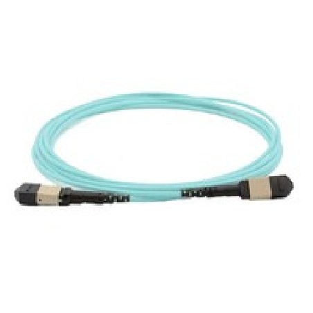 Cisco Cable MPO12-MPO12 Trunk Cable/Type B MMF 1M