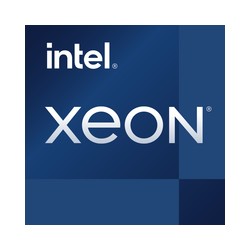 INT XEON E-2434 FIO CPU F-STOCK/.