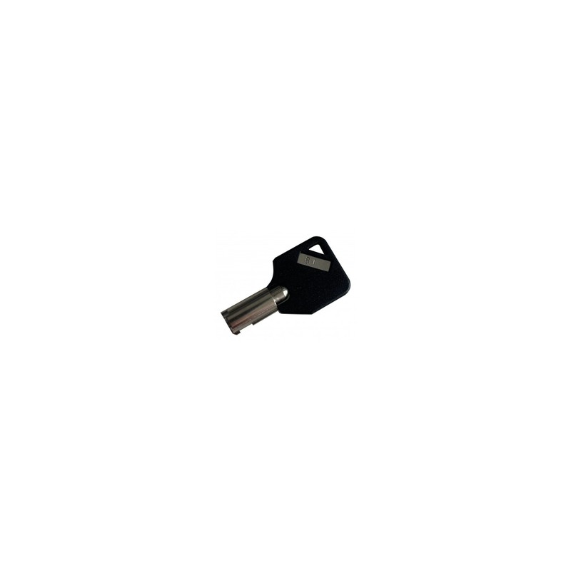 Mobilis Master Key For 001393 -/Universal Security Cable