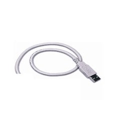Cable, USB, Type A, Straight, CAB-426, 6 ft.