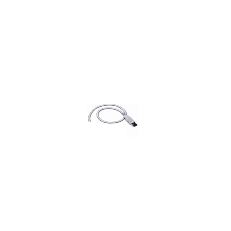 Cable, USB, Type A, Straight, CAB-426, 6 ft.