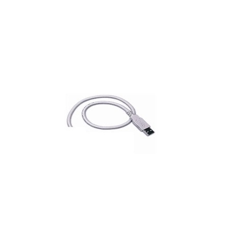 Cable, USB, Type A, Straight, CAB-426, 6 ft.